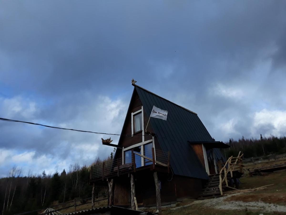 Oak House Apartment Palyanytsya Bagian luar foto
