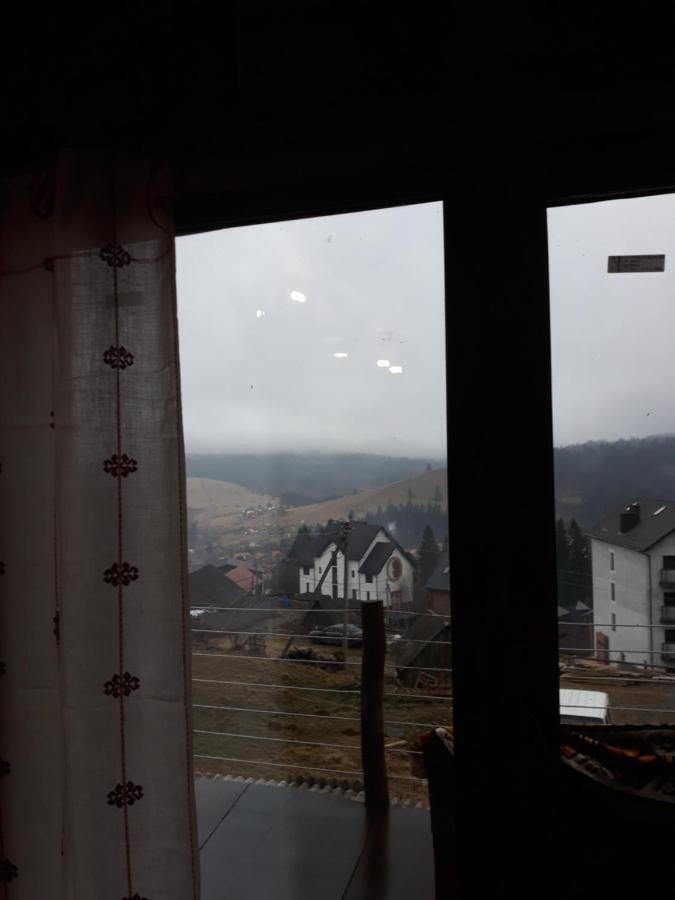 Oak House Apartment Palyanytsya Bagian luar foto